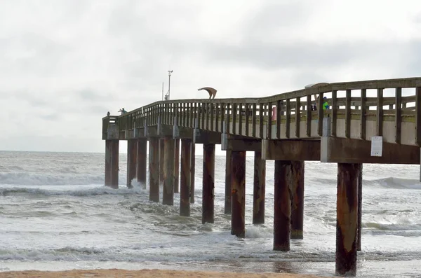 Muelle de pesca en un día nublado —  Fotos de Stock