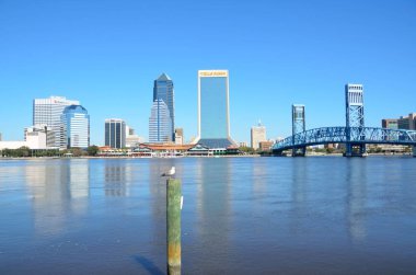 Jacksonville, Florida Cityscape