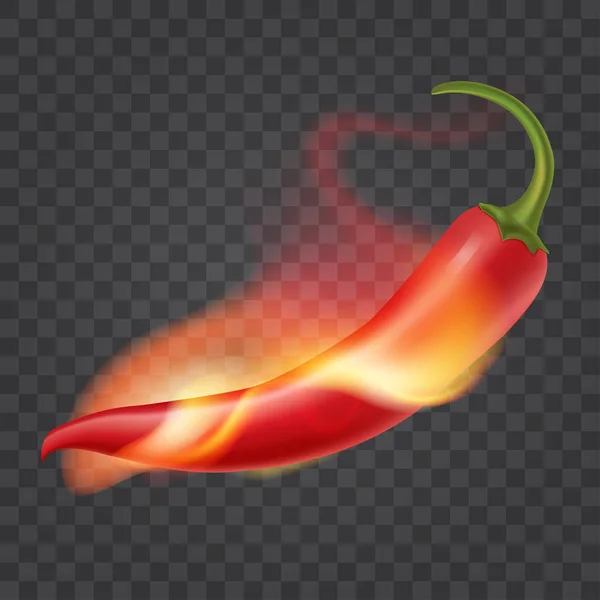 Scharfe Chilischote in Flammen. Flamme um Paprika. isoliert auf transparentem Hintergrund. Realistische Illustration. Vektor Folge 10. — Stockvektor