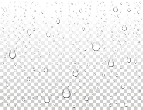 Realistisk rent vatten droppar på isolerade bakgrund. Rent vatten droppe kondens. Ånga dusch kondens på vertikal yta. Vektorillustration. — Stock vektor