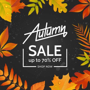Sonbahar karanlık asfalt zemin üzerine bırakır. Sonbahar satış konsepti. Renkli resimde poster, afiş, el ilanı için. Vektör eps 10.