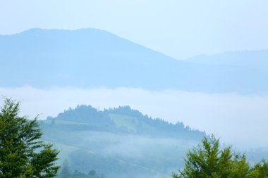 Yazın Karpat Dağları