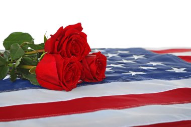 Red roses on American flag 