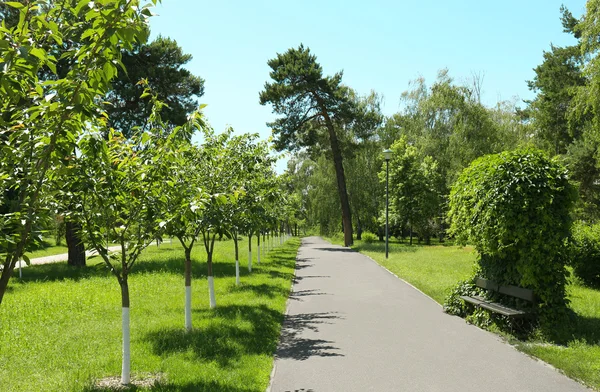 Footpath in the park — Stock Photo, Image