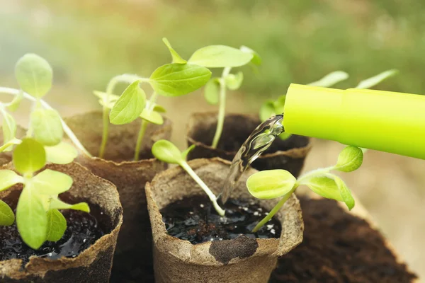 Water pouring from watering can — Stock Photo, Image