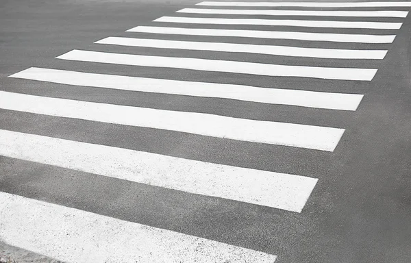 Зебра переходит дорогу — стоковое фото