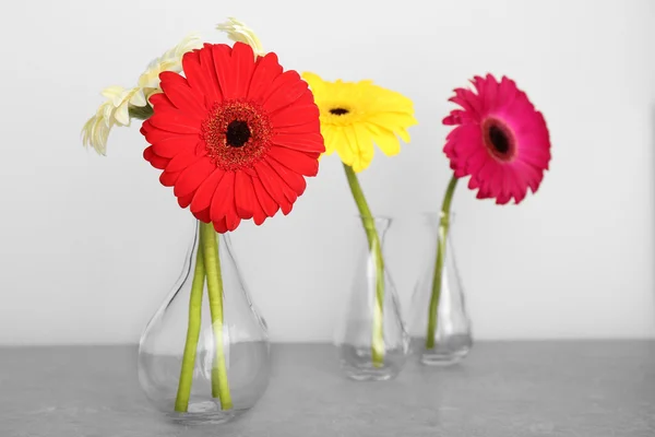 Vases with gerbera flowers on grey background — Stock Photo, Image