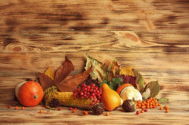 Sonbahar yaprakları bileşimi 