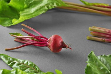 Gri arka plan üzerinde genç pancar