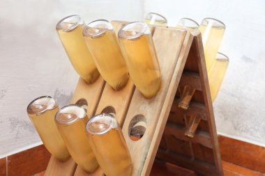 Şişe şarap mahzende rafta