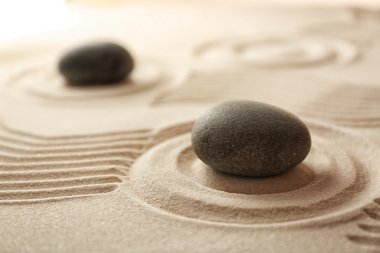 Japon Zen Bahçesi