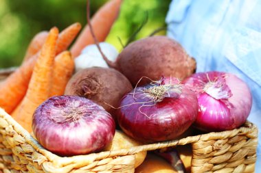 Taze sebze, closeup ile hasır kutu
