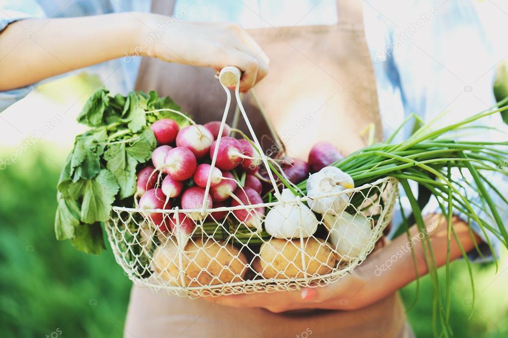 Woman holding basket with fresh vegetables