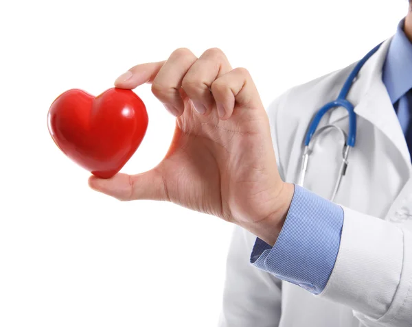 Médico masculino segurando coração vermelho no fundo branco — Fotografia de Stock