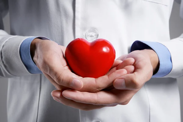 Male doctor holding red heart, closeup — Stock Photo, Image