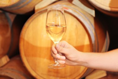Male hand holding glass of wine on wooden barrels background clipart