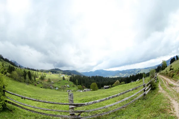 Forest green hills in mountains — Stock Photo, Image