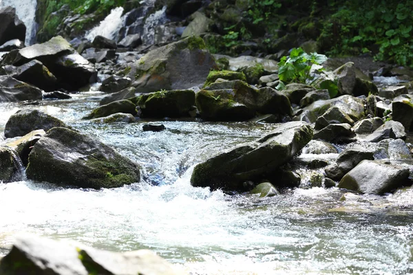 Rio nas Montanhas Cárpatas — Fotografia de Stock