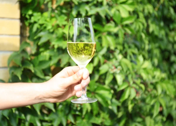 Mão masculina segurando copo de vinho branco, ao ar livre — Fotografia de Stock
