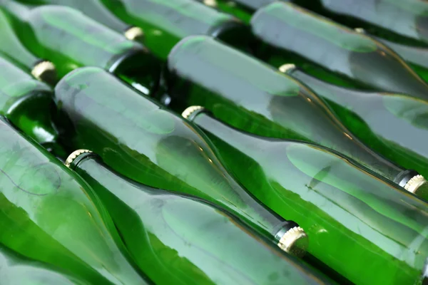 Muchas botellas de vino en la bodega, primer plano —  Fotos de Stock