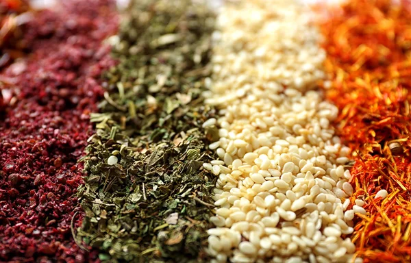 Mix of different spices in lines, closeup — Stock Photo, Image