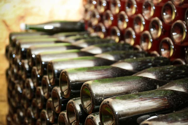 Bottles with wine in cellar, closeup — Stock Photo, Image