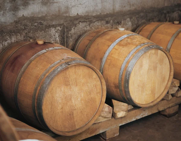 Barris de madeira para vinho na adega — Fotografia de Stock