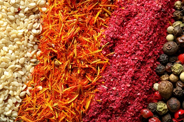 Mix of different spices in lines, closeup — Stock Photo, Image