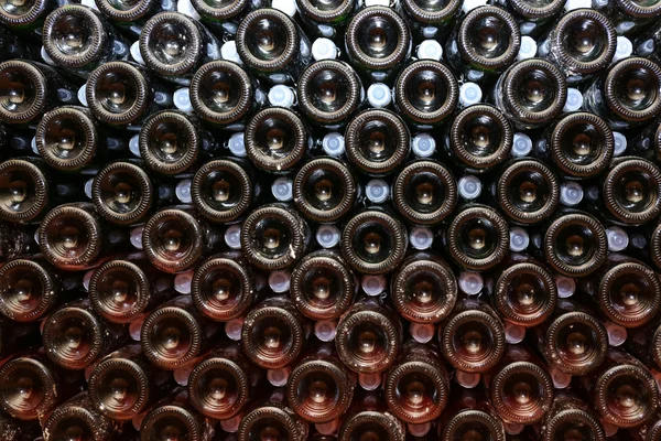 Bottiglie con vino in cantina, primo piano — Foto Stock