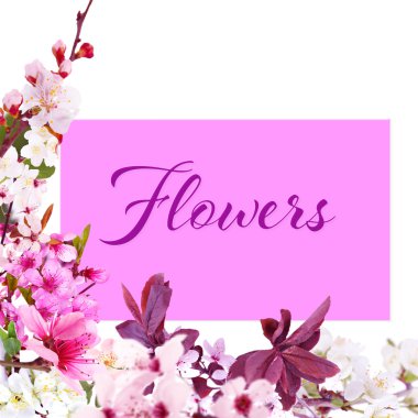 Beyaz arka plan üzerinde boş kart ve çiçekler çerçeve