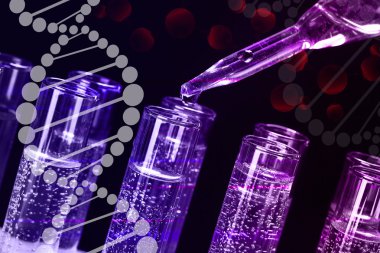 Pipet ve sıvı, closeup ile test tüpleri. DNA araştırma teknoloji kavramı.