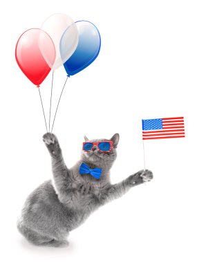 Şirin kedi beyaz zemin üzerine ABD bayrağı ve hava Balonlu. ABD tatil kavramı.