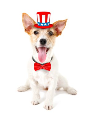 Sam Amca şapka ve beyaz arka plan üzerinde papyon ile şirin köpek. ABD tatil kavramı.