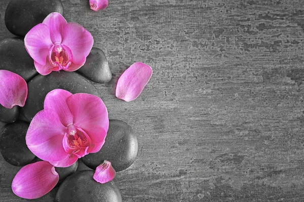 Pedras de spa com flores de orquídea — Fotografia de Stock