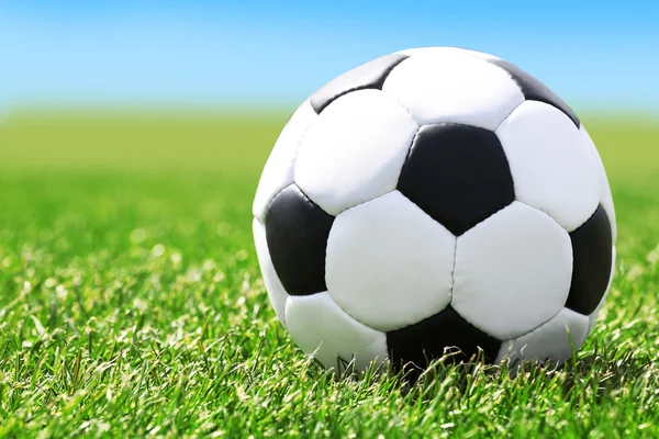 Soccer ball on green grass and blue sky background