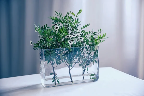 Flores verdes em vaso na mesa — Fotografia de Stock