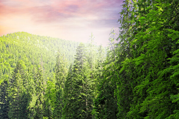 Beautiful mountains landscapes and sunset