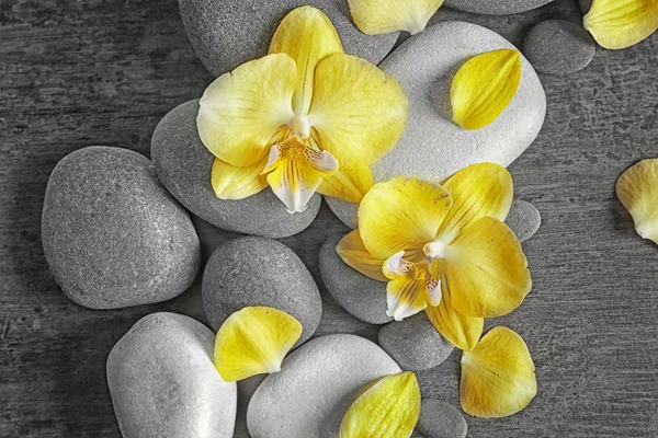 Spa stones with orchid flowers — Stock Photo, Image