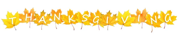 Feliz Dia de Acção de Graças. Folhas de outono com texto isolado em branco — Fotografia de Stock