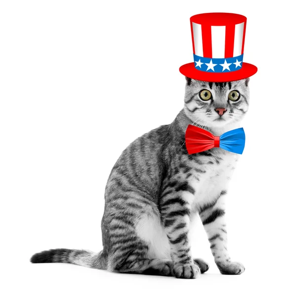 Söt katt med Uncle Sam hatt och fluga på vit bakgrund. USA semester koncept. — Stockfoto