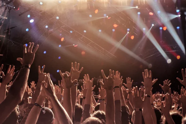 Multitud en un concierto al aire libre —  Fotos de Stock