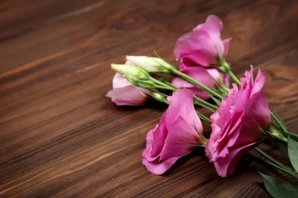 Čerstvé květiny na dřevěné pozadí — Stock fotografie