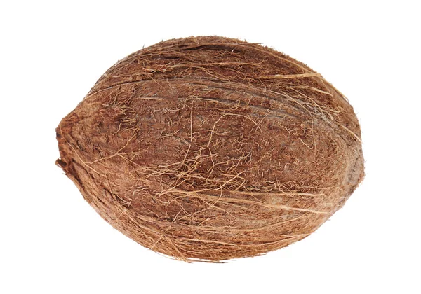 Kokosnuss isoliert auf weißem Hintergrund — Stockfoto