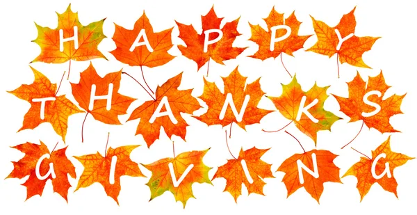Feliz Día de Acción de Gracias. Hojas de otoño con texto aislado sobre blanco — Foto de Stock