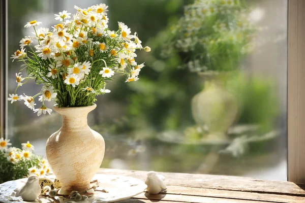 Bouquet di camomilla sul davanzale della finestra — Foto Stock