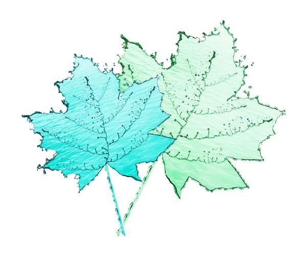 Modello di acqua di foglie su sfondo bianco . — Foto Stock