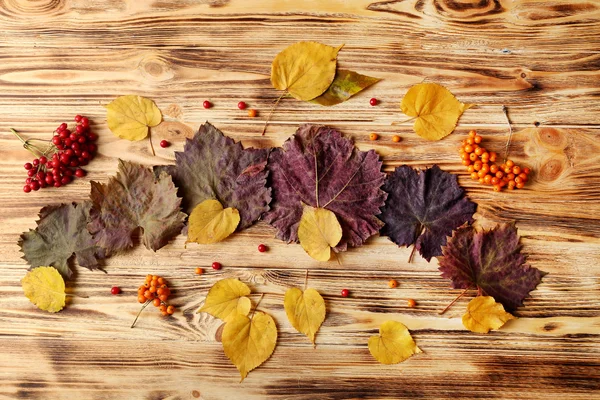 Giorno del Ringraziamento concetto — Foto Stock