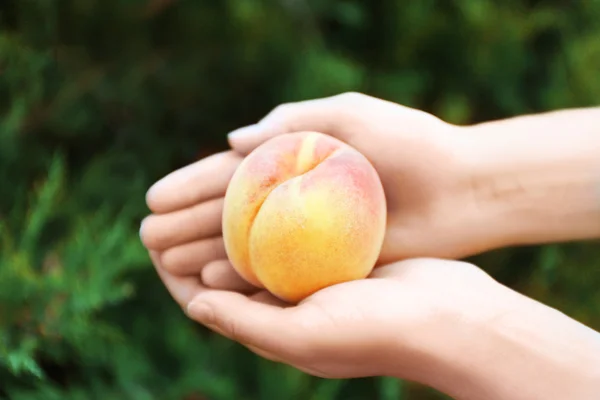 Female hands holding ripe peach — Stockfoto