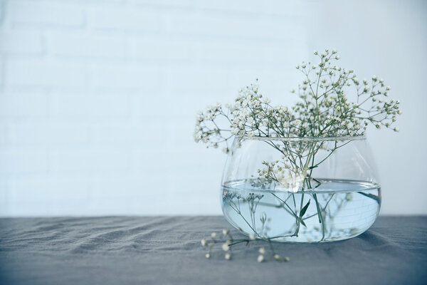 Glass vase with gypsophila twigs on table