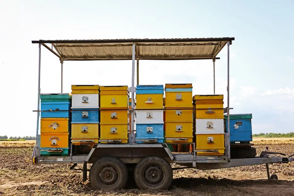 Κινητό Μελισσοκομικά Στον Τομέα Ηλιόλουστη Ημέρα — Φωτογραφία Αρχείου